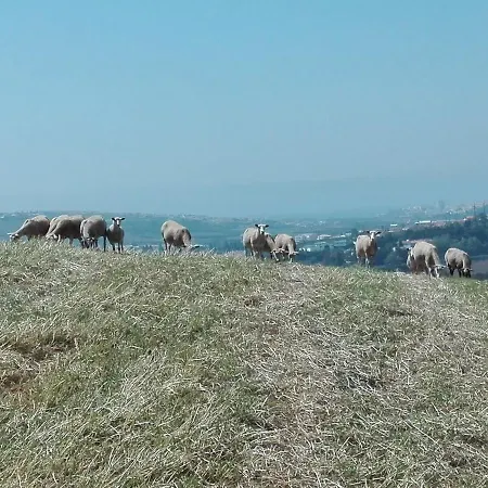 Oda ve Kahvaltı Quinta Da Galeana Dreaming *