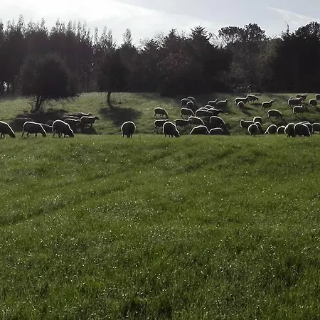 Quinta Da Galeana Dreaming Oda ve Kahvaltı Lourinhã