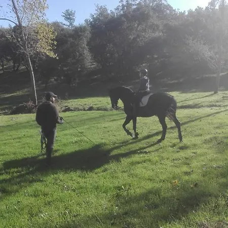 Quinta Da Galeana Dreaming Oda ve Kahvaltı