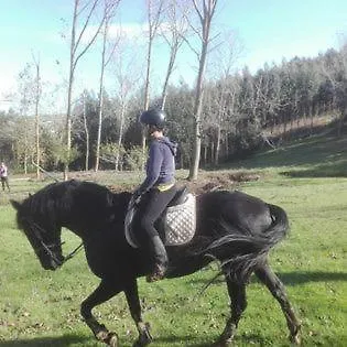 Quinta Da Galeana Dreaming Oda ve Kahvaltı *