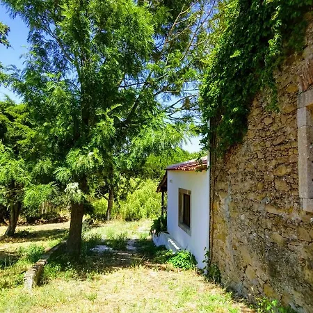 Quinta Da Galeana Dreaming Oda ve Kahvaltı *